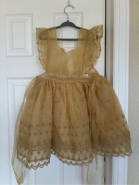 Noralee Gold Organza Girls' Formal Dress with Lace Trim